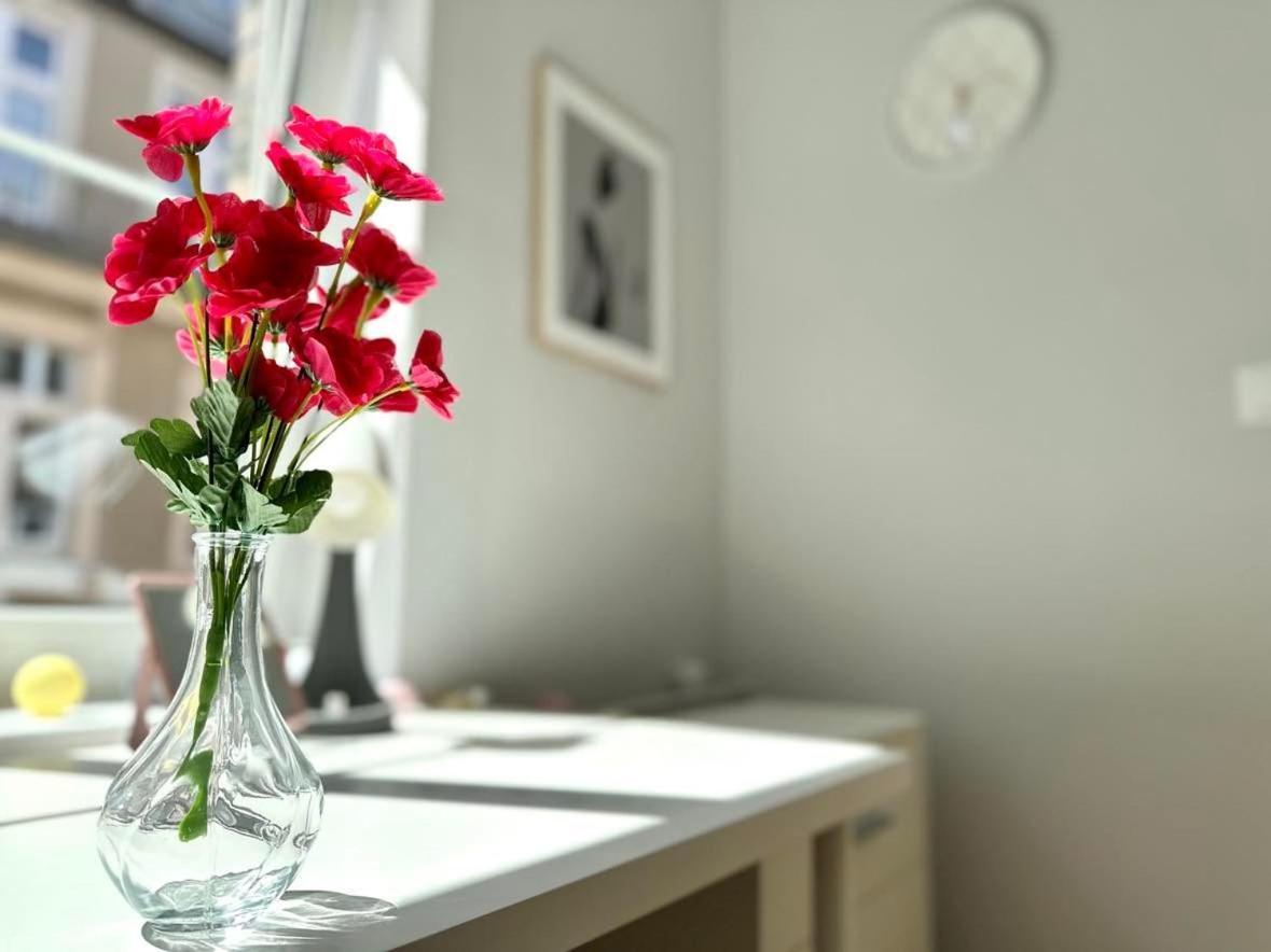 Privat overnatting Mmrent Shadow